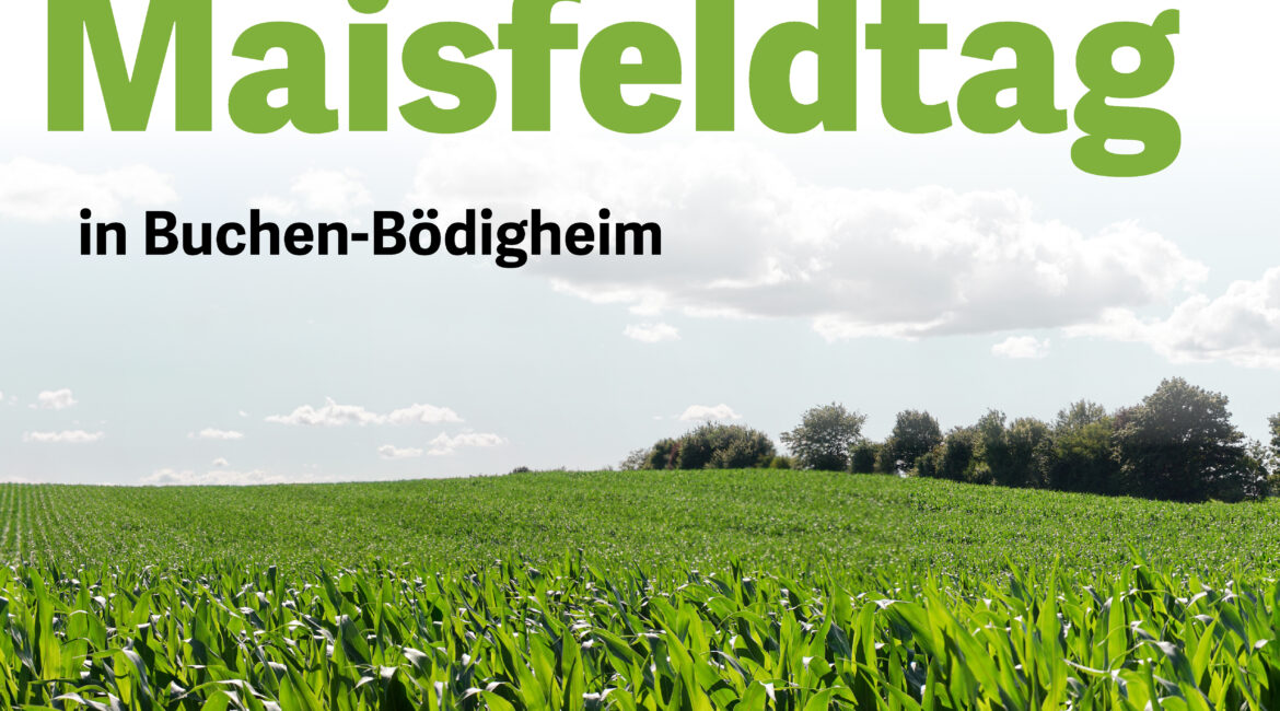 Einladung zum Maisfeldtag in Buchen-Bödigheim.