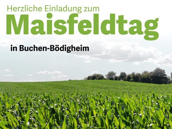 Einladung zum Maisfeldtag in Buchen-Bödigheim.