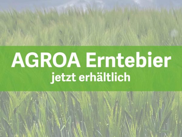 Erntebier