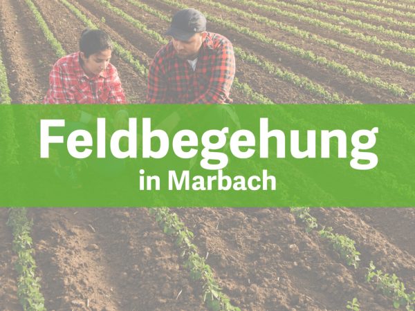 Feldbegehung