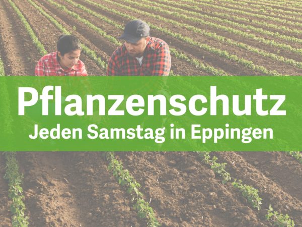 Feldbegehung_Marbach