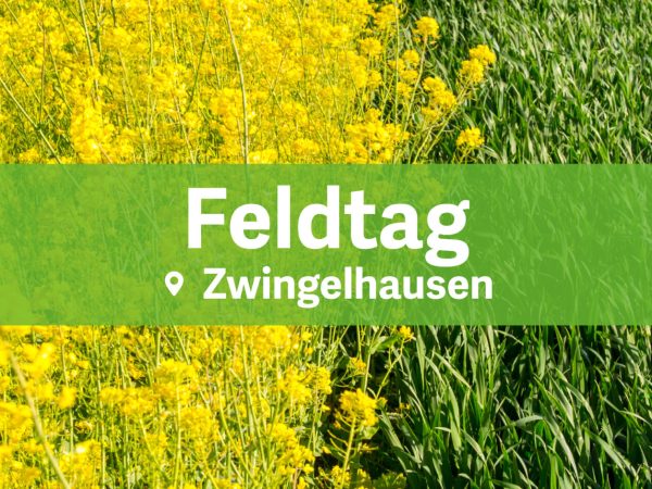 Feldtag Zwingelhausen