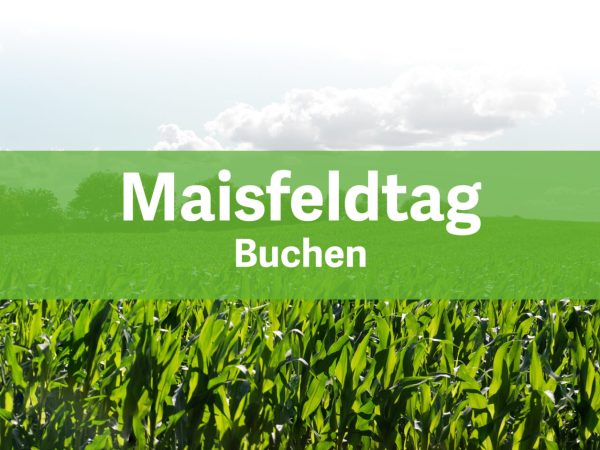Maisfeldtag_12-08-2026