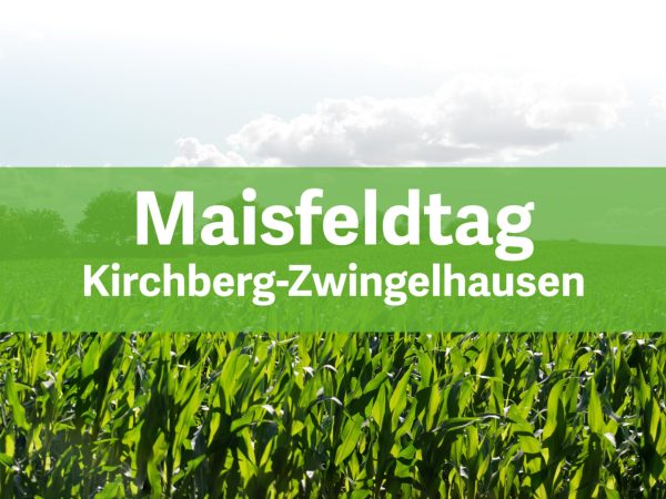 Maisfeldtag_26-08-2026