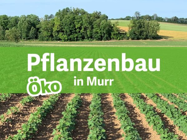 Pflanzenbau Murr