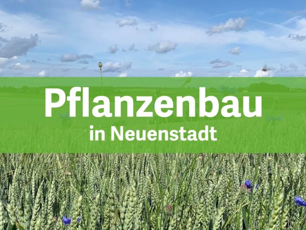Pflanzenbau Neuenstadt