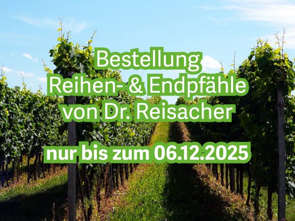 Reisacher Pfähle_Teaser