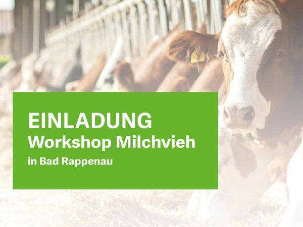 Titelbild_Bad Rappenau