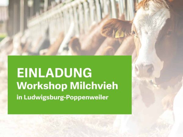 Titelbild_LB Poppenweiler