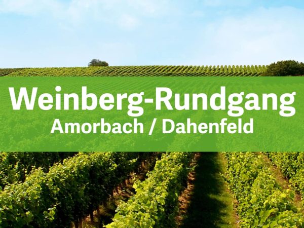 __Weinberg-Rundgang