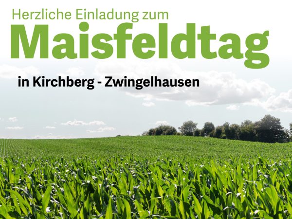 _Zwingelhausen
